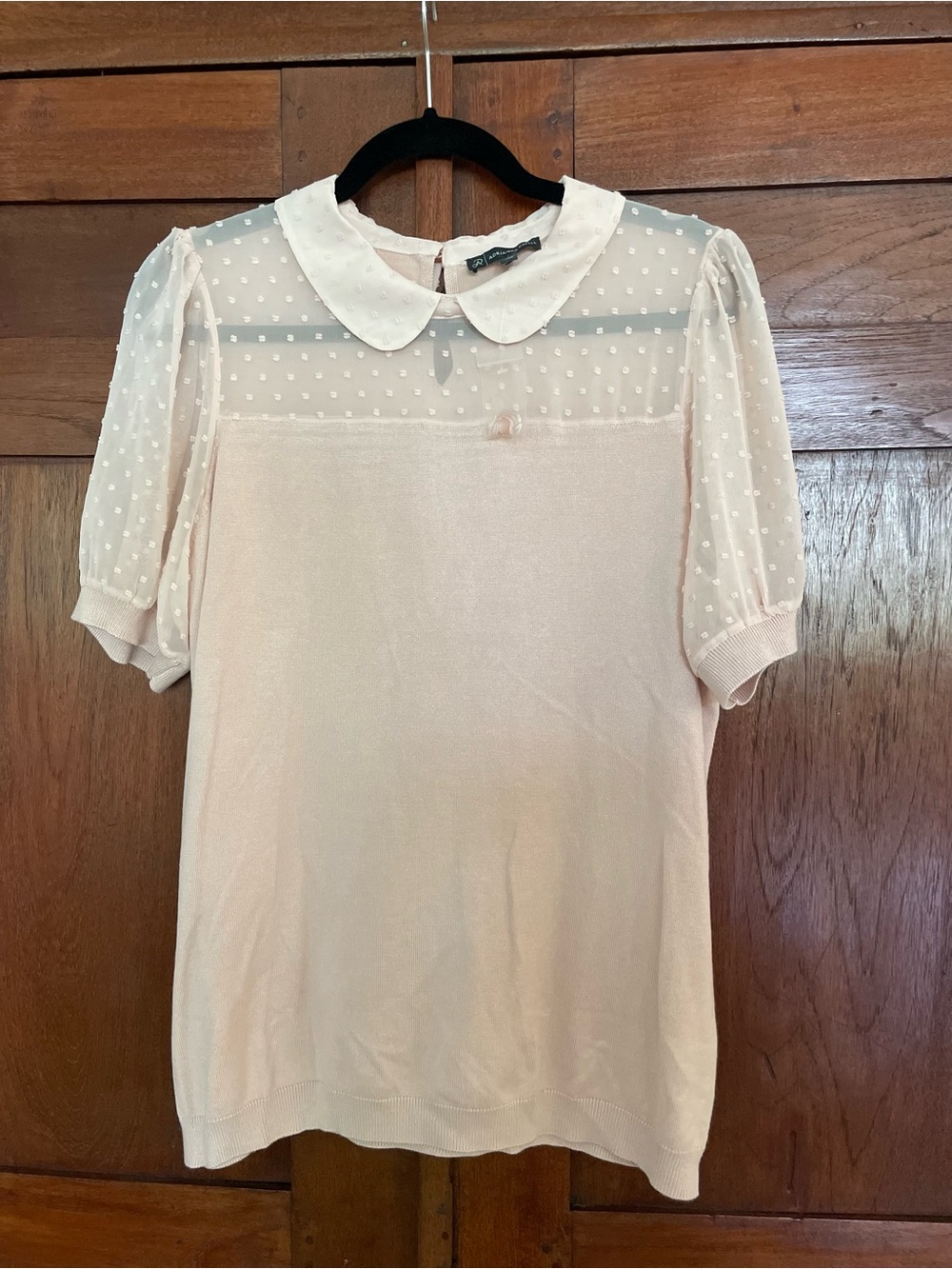 Adrianna Papell Sheer Dotted Yoke Short Sleeve Top - Soft Peach